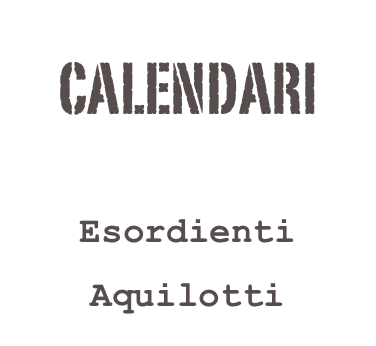 CALENDARI
Under 14
Esordienti
Aquilotti